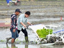 1748106827976-momen-gibran-bareng-mentan-nyemplung-ke-sawah-1748080264007_43
