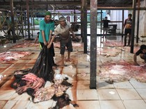 1749229555545-raup-rezeki-dari-kulit-sapi-kurban-1749217413749_43
