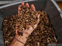 1751735237038-hebat-kampung-magot-di-jakarta-utara-ubah-sampah-jadi-rupiah-1751696931243_43