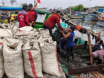1757698078529-nelayan-cilincing-gantungkan-hidup-dari-kerang-hijau-1757674493110_43