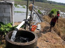 1760117006021-inovasi-listrik-masuk-sawah-petani-ngawi-tak-takut-kekeringan-1760088496845_43