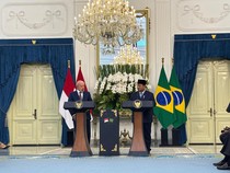 1761651286456-presiden-prabowo-subianto-dan-presiden-brasil-luiz-inacio-lula-da-silva-di-istana-jakarta-1761208537115_43