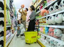 1761737600378-mr-diy-1761724670054_43