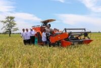 1762234327721-harga-beras-turun-di-semua-segmen-2-bulan-berturut-turut-terjadi-deflasi-1762219596252_43