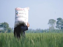 1762363544109-kementan-1762350849280_43