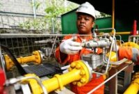 1762428528768-ed94b2a5-c0f5-4c68-aff5-c3513a62df0b_43