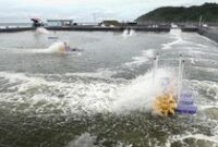 1762428636598-tambak-udang-vaname-nusakambangan-dorong-ketahanan-pangan-nasional-1762404494840_43