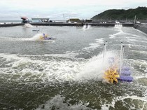 1762428636598-tambak-udang-vaname-nusakambangan-dorong-ketahanan-pangan-nasional-1762404494840_43