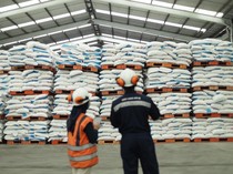 1762428696161-pupuk-indonesia-1760957216484_43