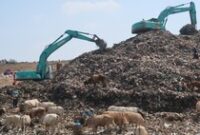 1762515088096-pemulung-di-tpa-piyungan_43