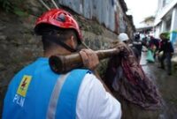 1762687516579-pln-1759674532992_43