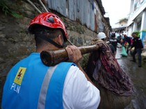 1762687516579-pln-1759674532992_43