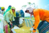 1763098068453-komisi-iv-dpr-nilai-kebijakan-pangan-era-prabowo-sangat-baik-1763088949529_43