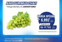 1763227444658-transmart-1763135013900_43