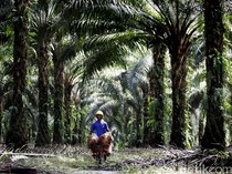 1763400299424-83204789-f71e-4b56-bd3e-544708c8e2f2_43