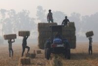 1763443777442-petani-punjab-tinggalkan-pembakaran-jerami-demi-solusi-bersih-dan-bernilai-ekonomi-1763388967328_43