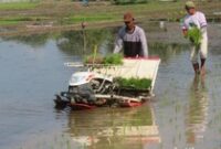 1763874308327-lahan-pertanian-sleman-1_43