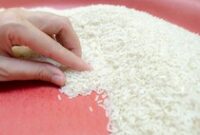 1763917496498-ilustrasi-beras-1752642308013_43