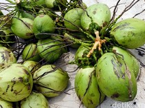 1764327973571-2a8b0979-8c58-423e-a1a3-71c159c16fde_43