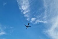 1764565582988-ilustrasi-pesawat-terbang-harisdetikcom_43