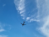 1764651945192-ilustrasi-pesawat-terbang-harisdetikcom_43