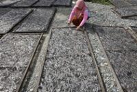 1764738327645-ikan-teri-gorontalo-laris-manis-harga-melonjak-1764673119931_43