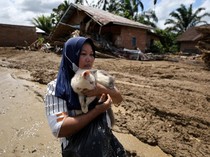 1765019114532-hewan-peliharaan-ikut-jadi-korban-saat-banjir-terjang-permukiman-1764910716315_43