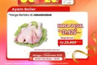 1765105528595-transmart-full-day-sale-1765078104146_43