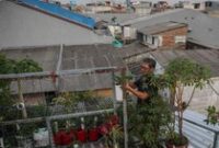 1765170314531-pangan-mandiri-dari-atap-rumah-warga-sunter-jaya-kembangkan-kebun-hidroponik-1765112058877_43
