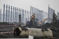 1765278304803-proyek-raksasa-industri-baterai-listrik-mulai-dibangun-di-karawang-1751198230711_43