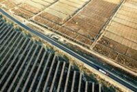 1765299893403-pembangkit-listrik-tenaga-surya-ubah-gurun-gobi-menjadi-lumbung-energi-hijau-di-wuzhong-1765267708803_43