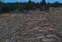 1765299908261-gelondongan-kayu-pascabanjir-beberkan-rusaknya-hutan-aceh-1765011763462_43