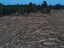 1765299908261-gelondongan-kayu-pascabanjir-beberkan-rusaknya-hutan-aceh-1765011763462_43