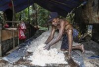 1765429537739-produksi-sagu-tradisional-di-maluku-tengah-1765356509083_43