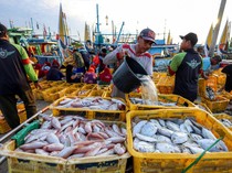 1765429556611-nelayan-pantura-tuban-kini-terlindungi-program-jaminan-sosial-ketenagakerjaan-1765349743388_43