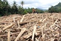 1765494266807-sampah-kayu-gelondongan-banjir-bandang-di-tapanuli-selatan-1764423757188_43