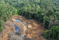 1765559097666-kawasan-hutan-di-samarinda-rusak-akibat-tambang-ilegal-1744286449500_43
