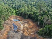 1765559097666-kawasan-hutan-di-samarinda-rusak-akibat-tambang-ilegal-1744286449500_43