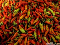 1765645507732-harga-cabai-rawit-merah-tembus-rp-120-ribu-5_43