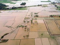 1765818307482-sawah-terendam-banjir-petani-di-deli-serdang-terancam-gagal-panen-1762671270108_43