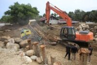 1765883112736-banjir-bandang-rusak-ribuan-rumah-dan-lahan-di-aceh-1765780029010_43