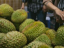 1766228715929-dikira-kebocoran-gas-warga-di-kota-ini-dibuat-panik-gegara-durian-1758953567113_43