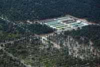 1766336695307-foto-udara-perkebunan-sawit-pasaman-barat-masih-dikepung-banjir-1766322178276_43