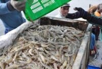 1766811911890-b006f1b0-3259-4d36-ad90-04bbe87e5f31_43