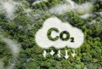 1767092764453-kredit-karbon-2_43