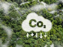 1767092764453-kredit-karbon-2_43