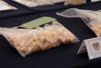 1767978310322-baby-lobster-1767957836902_43