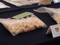 1767978310322-baby-lobster-1767957836902_43