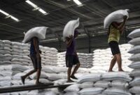 1767978316837-stok-beras-melimpah-pemerintah-punya-415-juta-ton-di-gudang-bulog-1750670730140_43