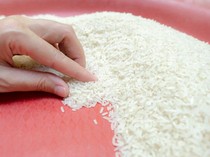 1768194340066-ilustrasi-beras-1752642308013_43